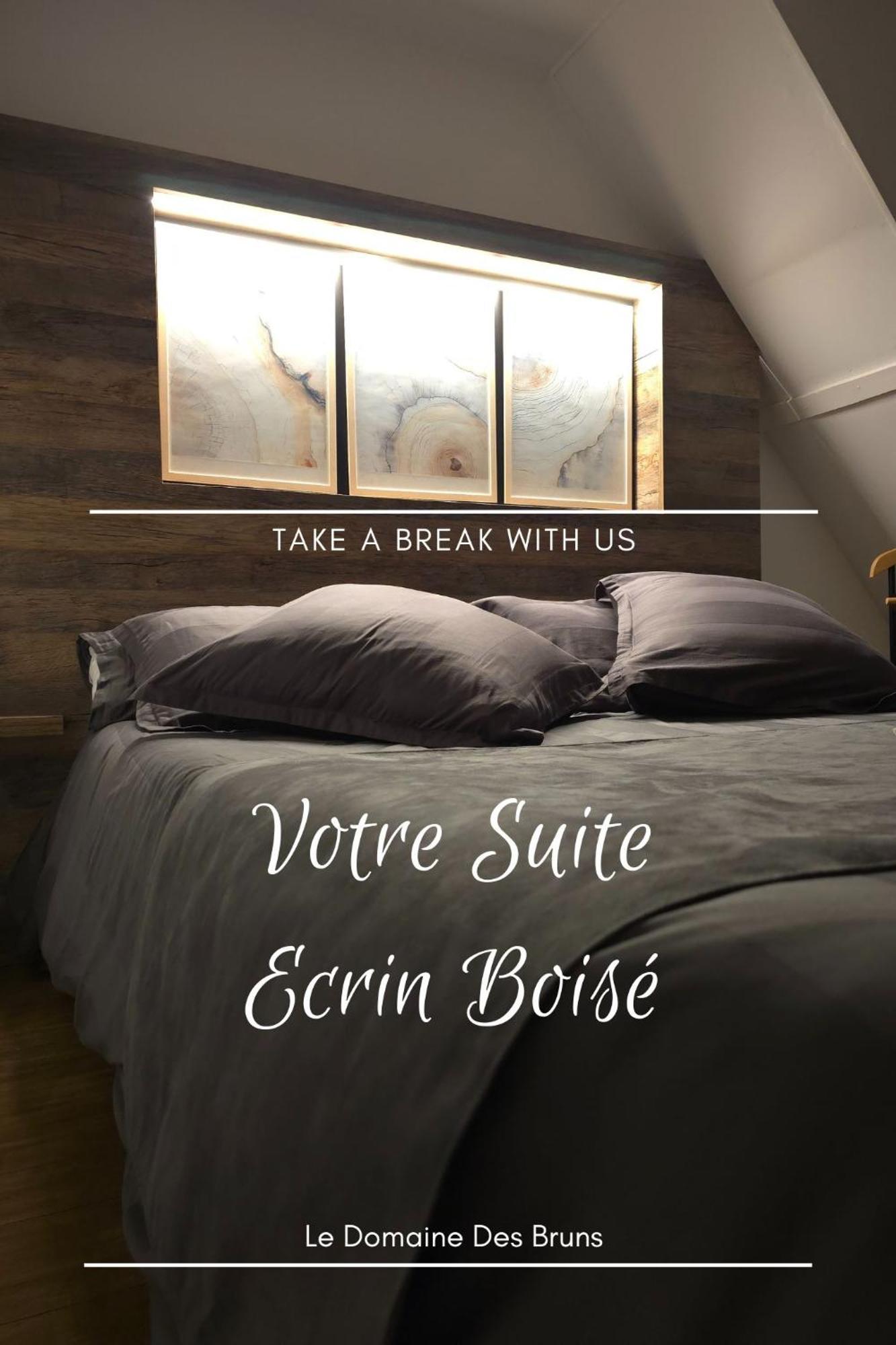 Bed and Breakfast Domaine Des Bruns Châtillon-Coligny Zewnętrze zdjęcie