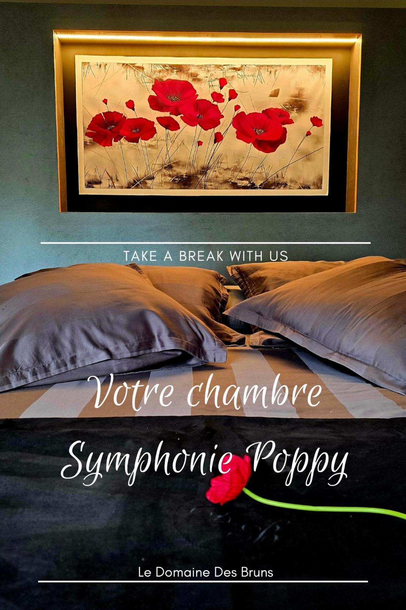 Bed and Breakfast Domaine Des Bruns Châtillon-Coligny Zewnętrze zdjęcie